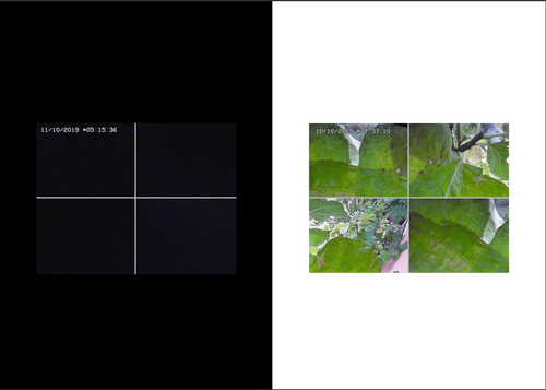 Natural View — image 7